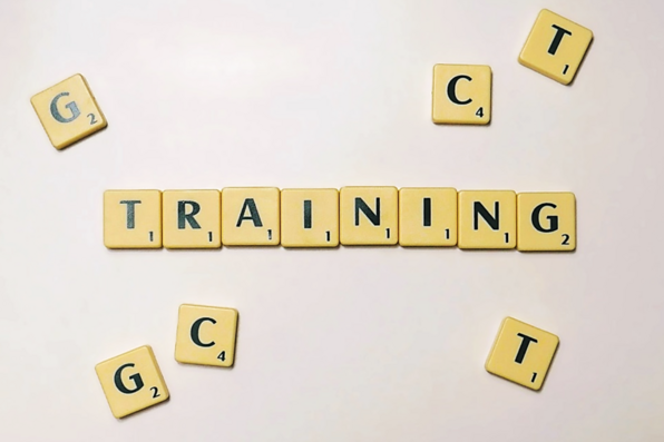 Spielsteine mit aufgedruckten Buchstaben formen die Begriffe GCT und Training