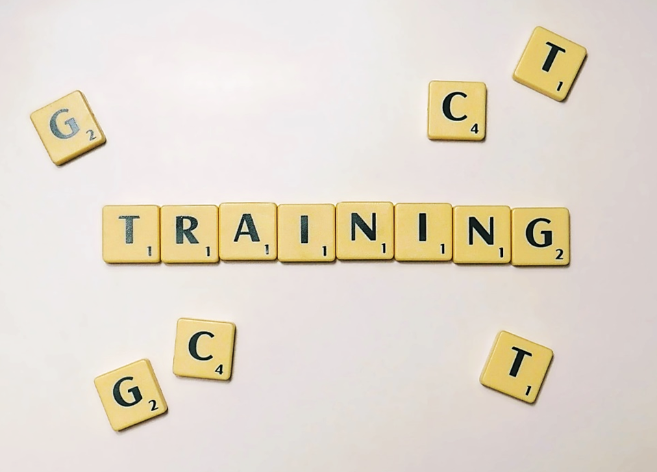 Spielsteine mit aufgedruckten Buchstaben formen die Begriffe GCT und Training
